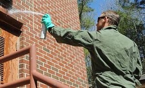 man spraying pest